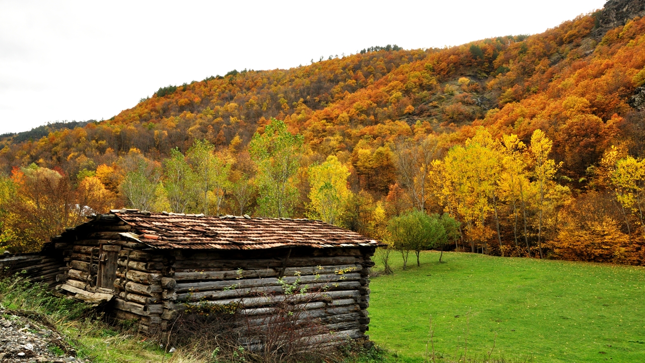 Ihsangazi Sonbahar Güzel (2)