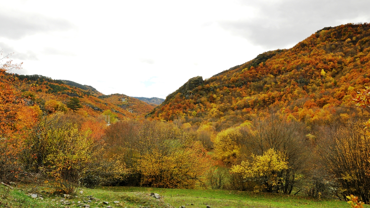 Ihsangazi Sonbahar Güzel (3)