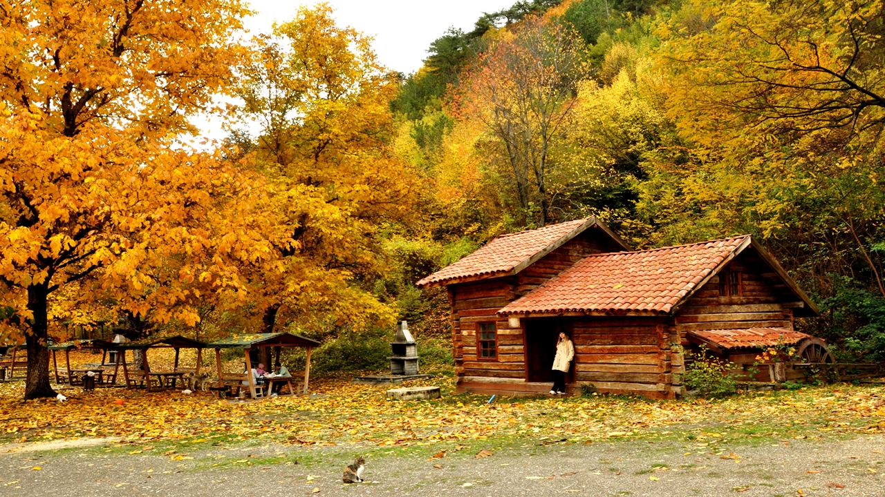 Ihsangazi Sonbahar Güzel (5)