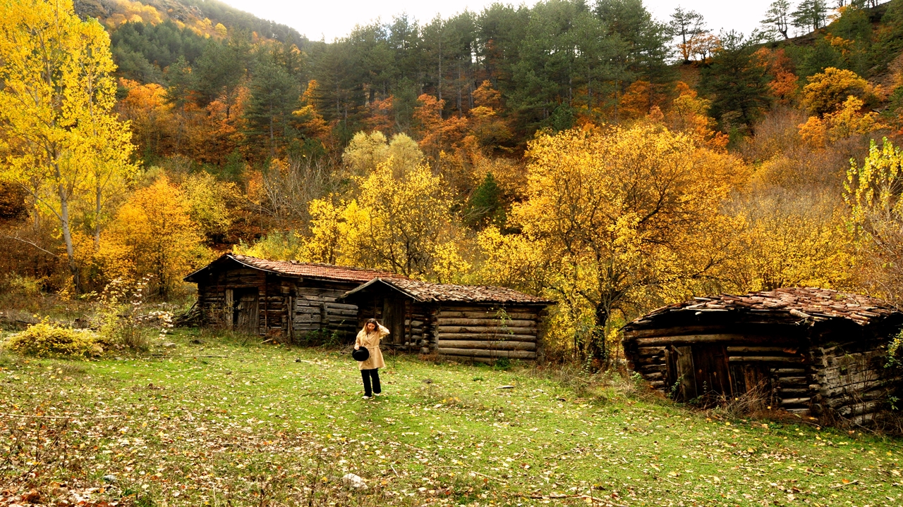 Ihsangazi Sonbahar Güzel (6)