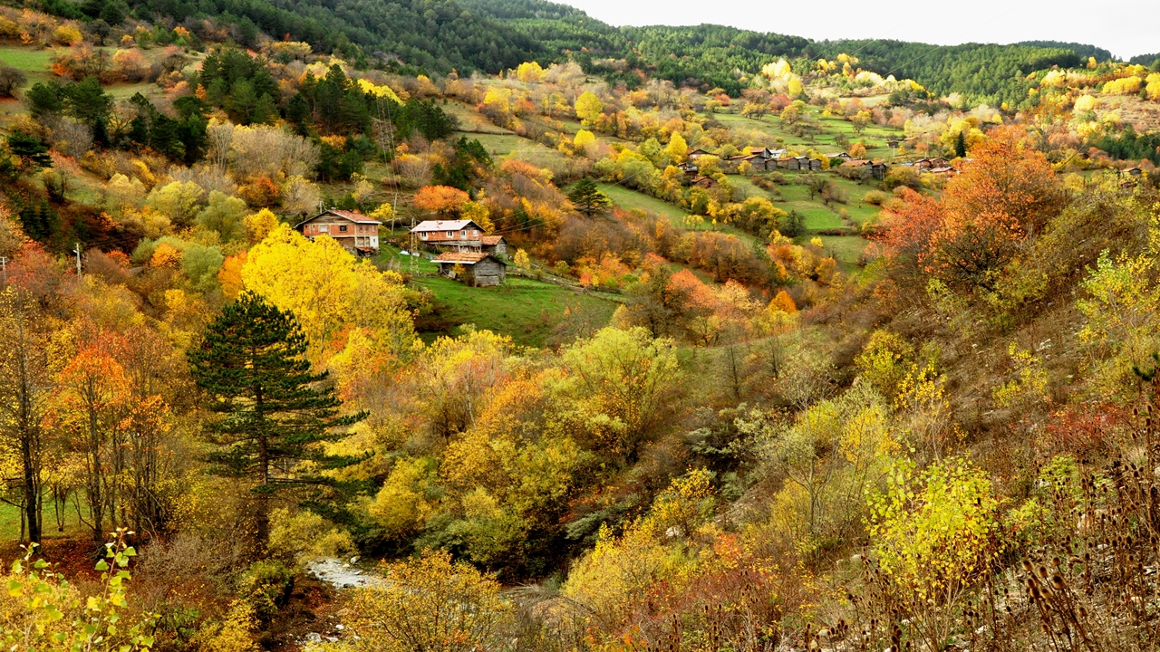 Ihsangazi Sonbahar Güzel (7)