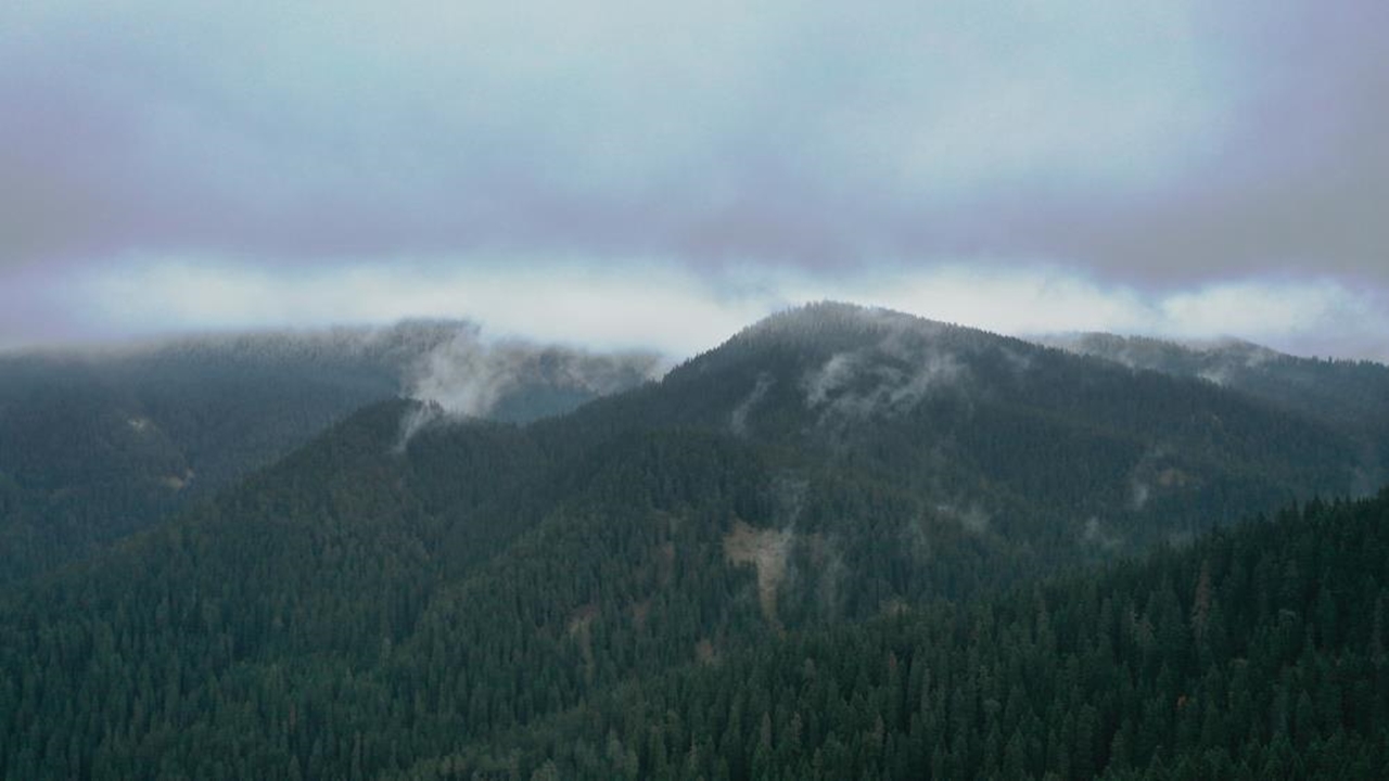 Ilgaz Dağı Manzara 2025 (1)
