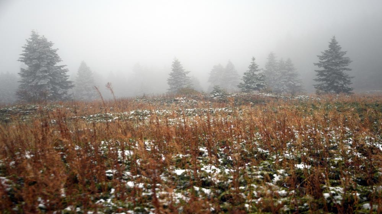 Ilgaz Dağı Manzara 2025 (3)