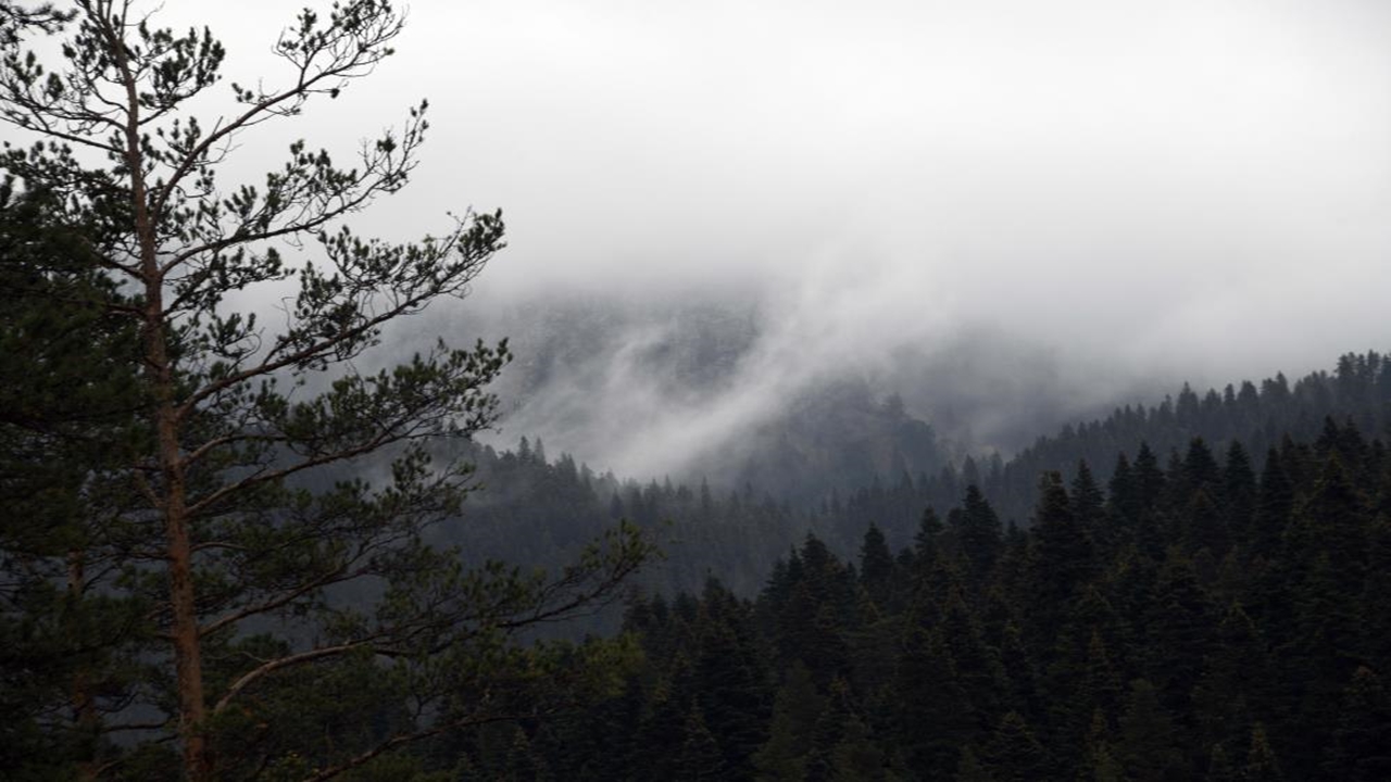 Ilgaz Dağı Manzara 2025 (5)