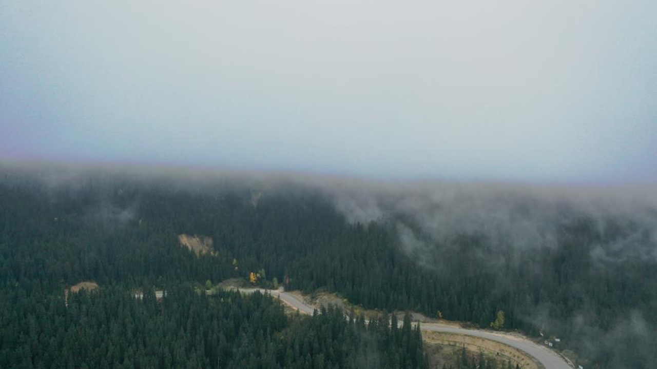 Ilgaz Dağı Manzara 2025 (7)