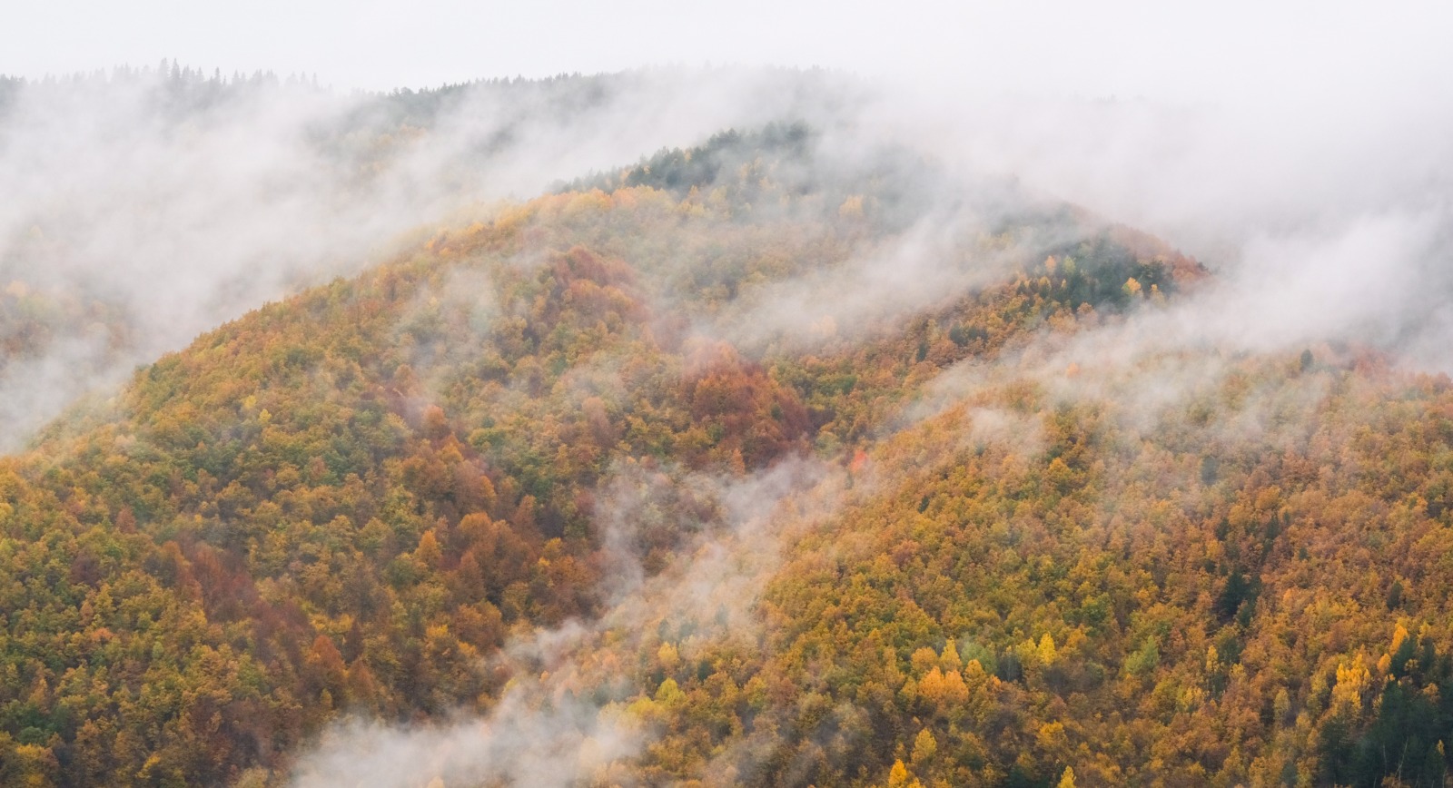 Ilgaz Dağı'nda Büyüleyici Manzaralar Oluştu 1
