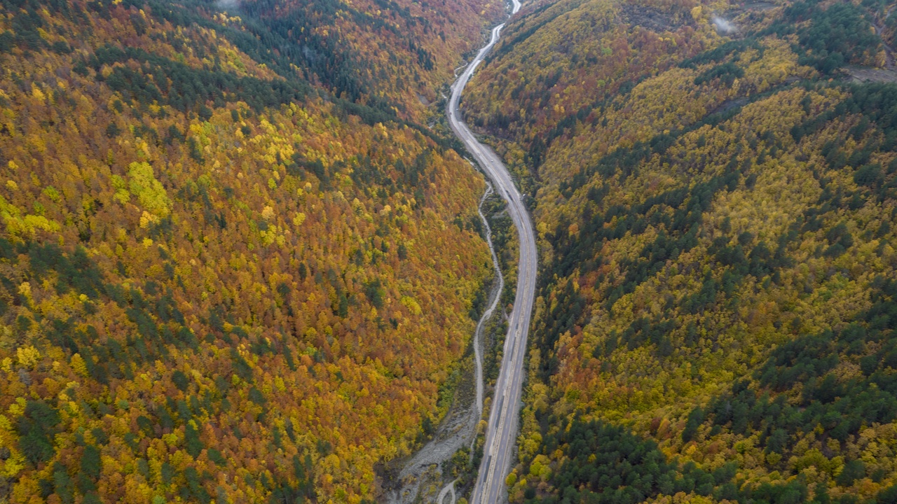 Ilgaz Sonbahar Renk Cümbüşü (5)