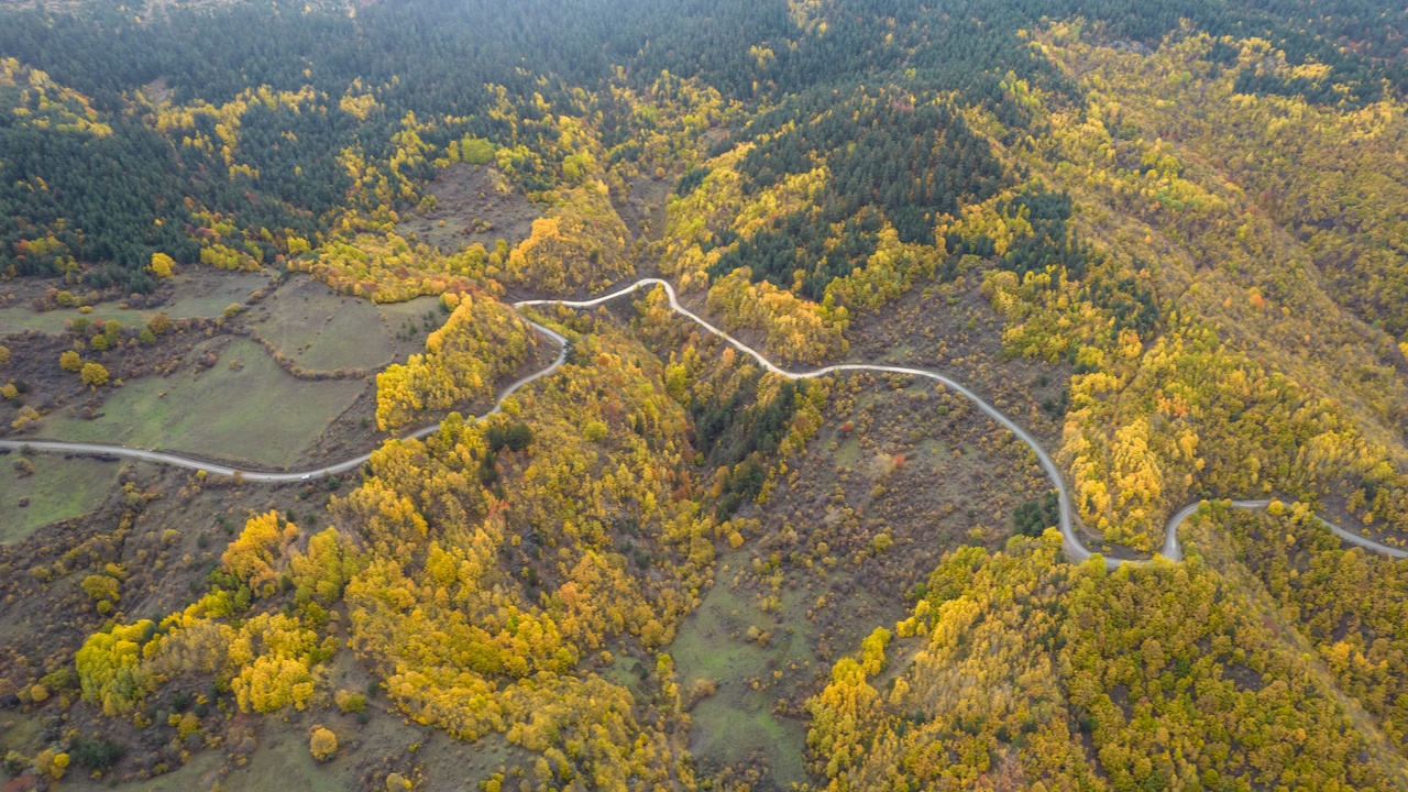 Ilgaz Sonbahar Renk Cümbüşü (8)