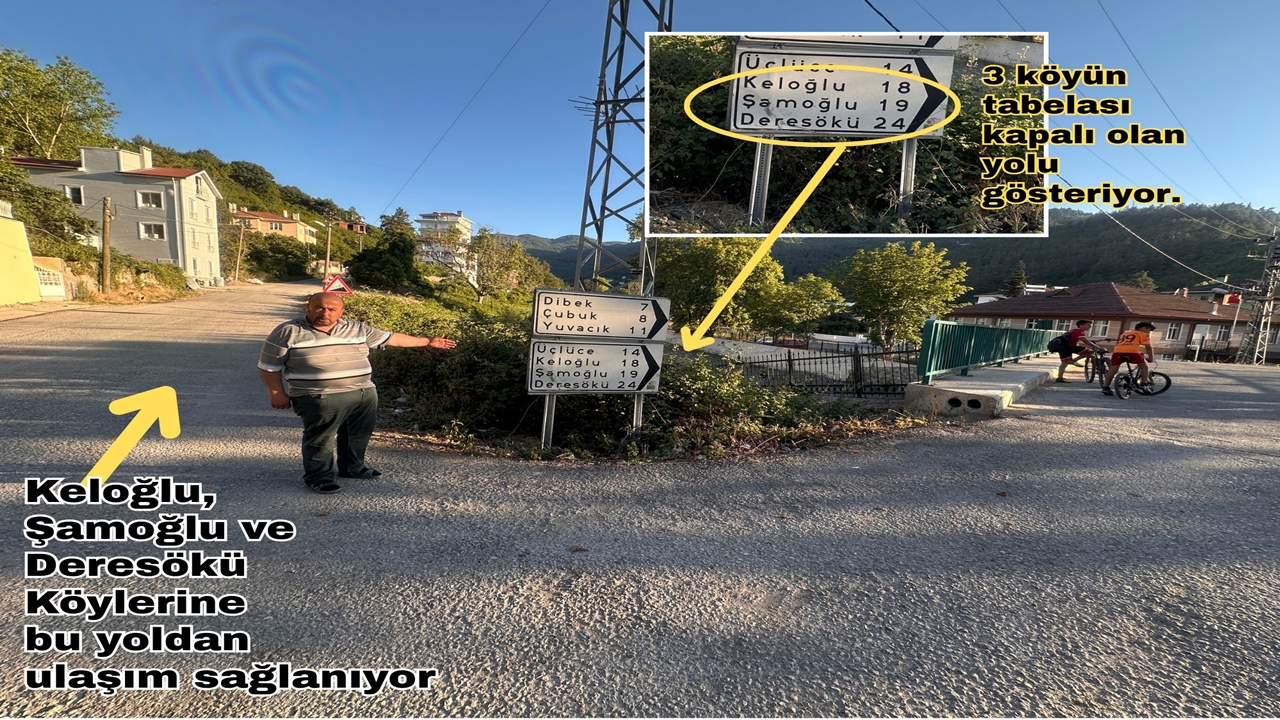 Inebolu Yanlış Tabela (2)