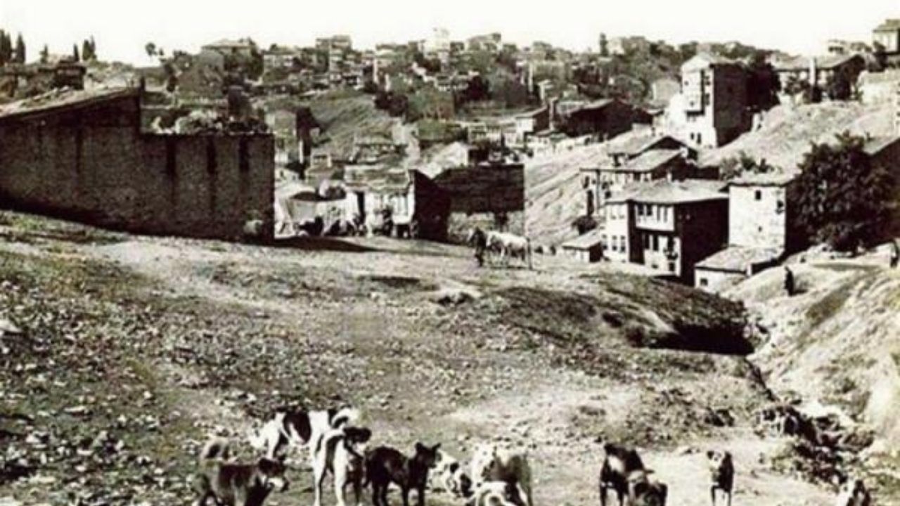 İstanbul’un Çehresini Değiştiren Göçler Kastamonulular Nerelere Yerleşti (1)