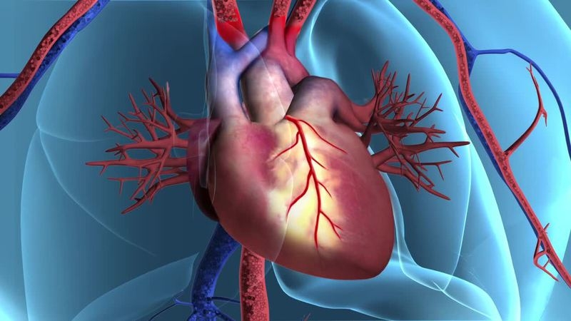 Kalbi Tehdit Ediyor! Kalp Yetmezliğini Yüzde 56 Artırıyor Uyumadan Önce Bunu Yapmayın!