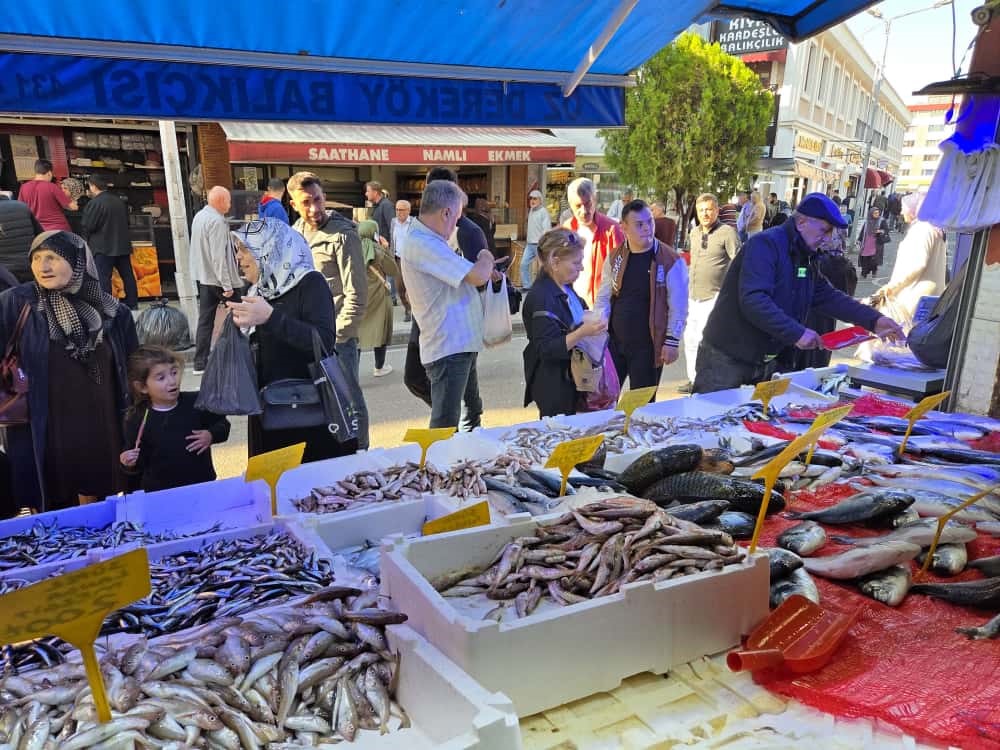 Kapış Kapış Gitti Hamsinin Kilosu 300'Den 100'E Düştü! 12