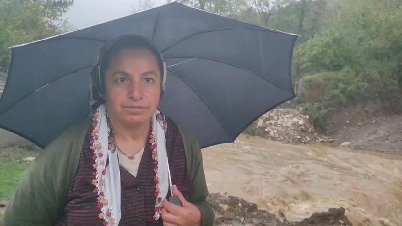 Karadeniz Inek Bartın Mahsur (1)