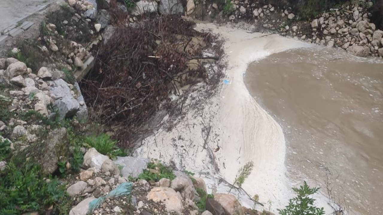 Karadeniz Inek Bartın Mahsur (2)