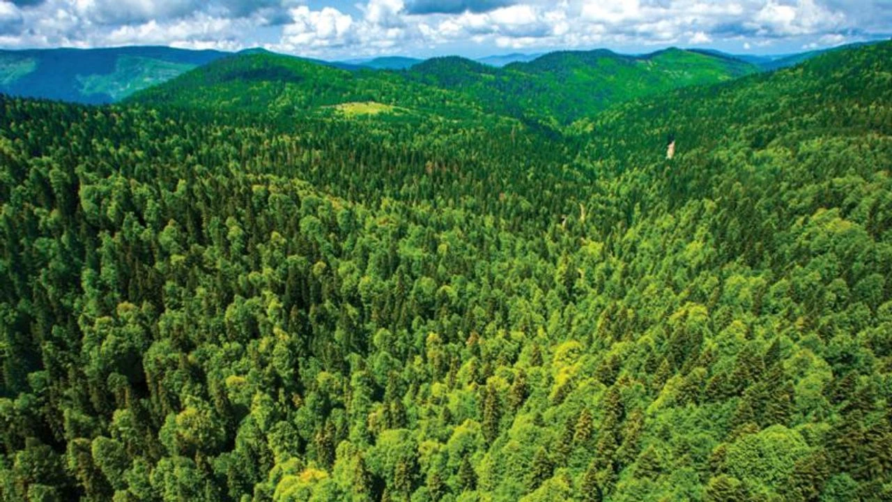 Kastamonu Ağlı Ilçesi Temiz Hava 4