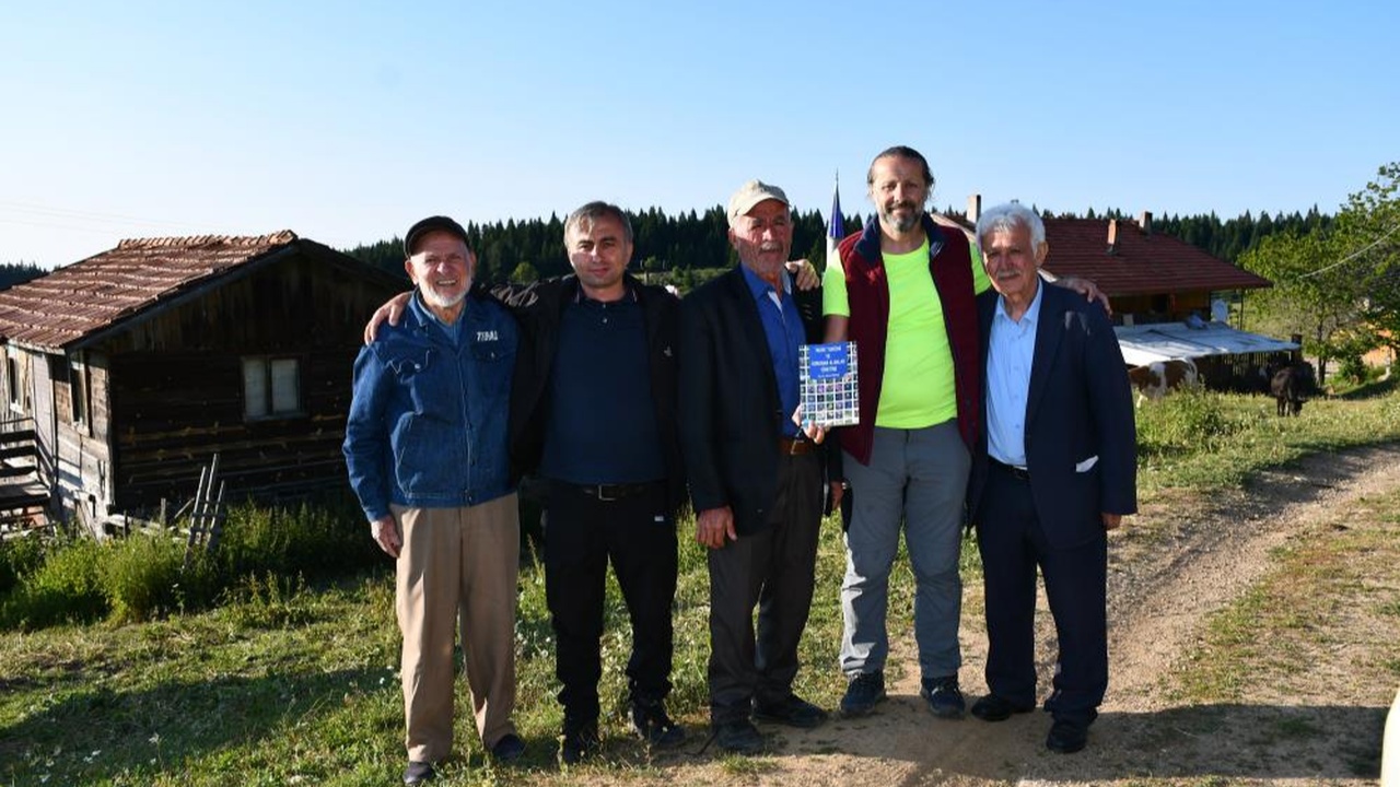Kastamonu Araç Yayla Inek (4)