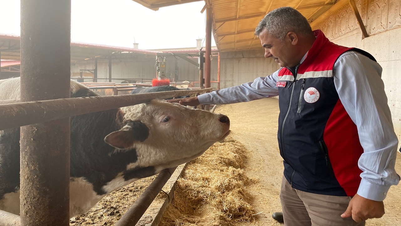Kastamonu Hayvancılık Ziyareti (2)
