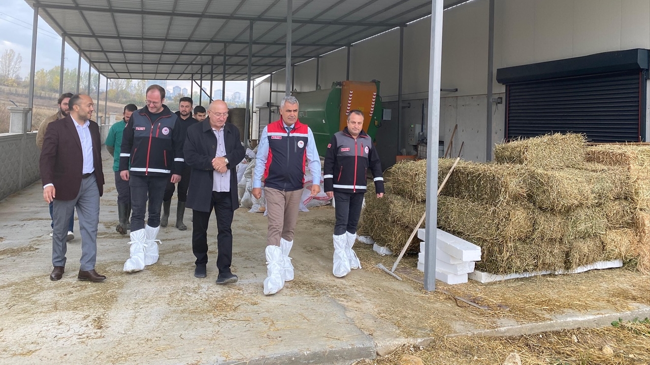 Kastamonu Hayvancılık Ziyareti (5)