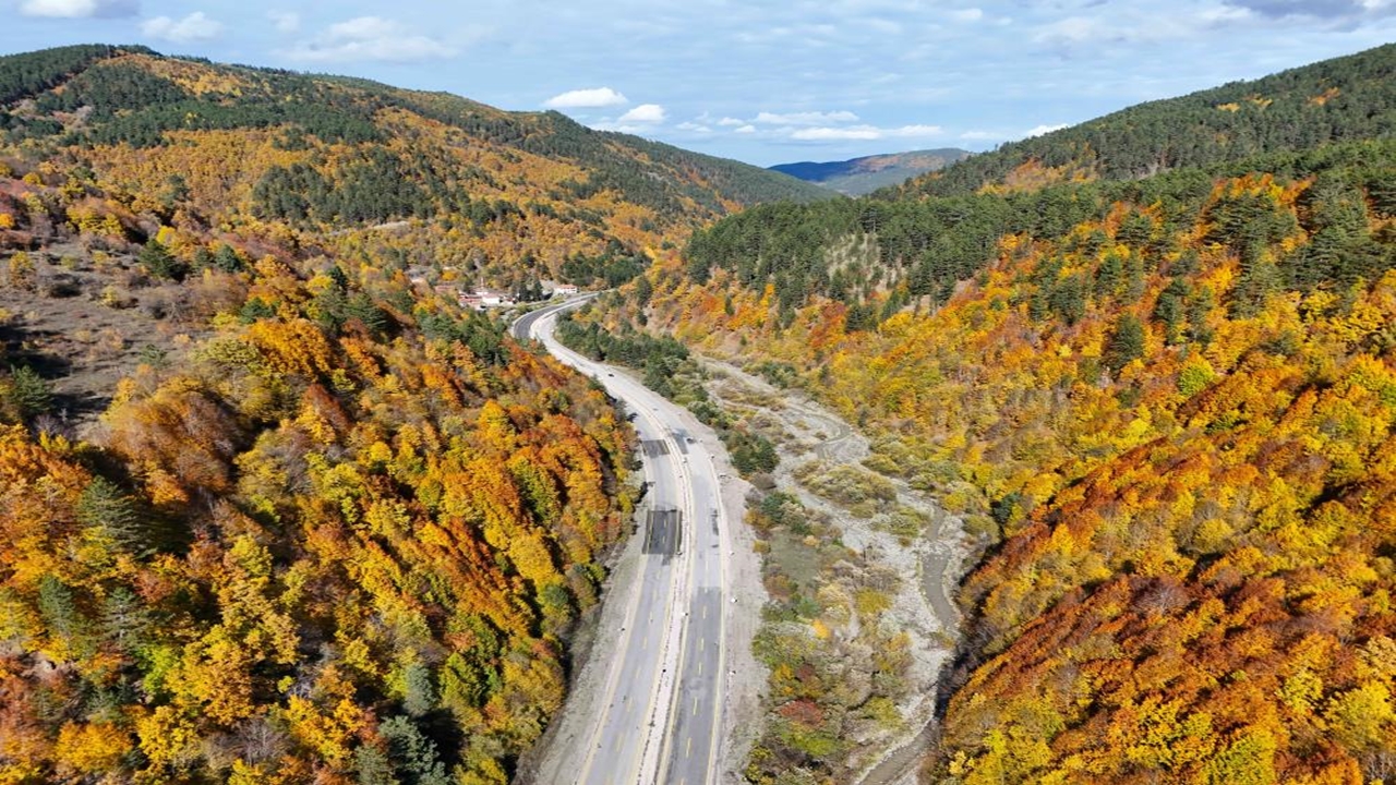 Kastamonu Orman Sonbahar Renk Cümbüşü (4)
