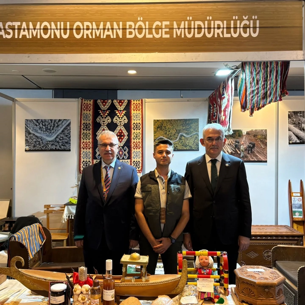 Kastamonu Orman Stant Istanbul (1)