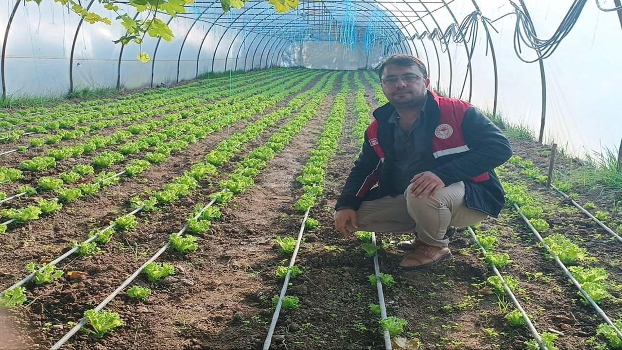 Kastamonu Sera Tarla Denetim (1)