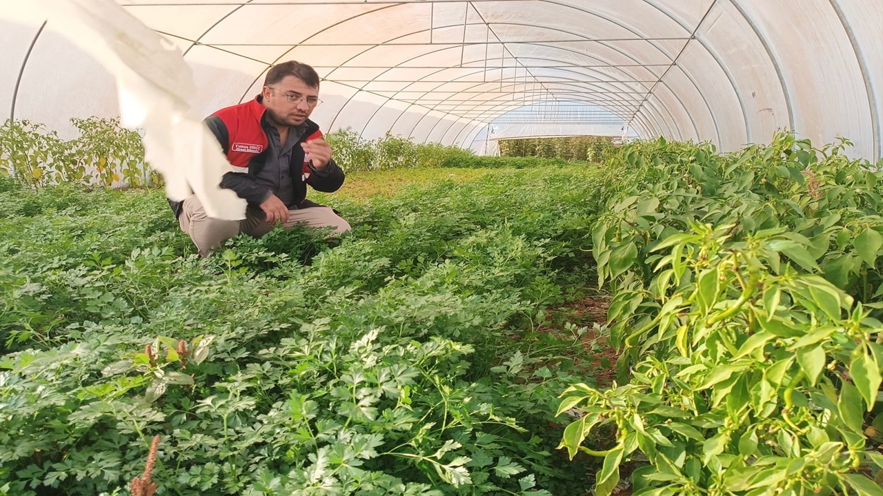 Kastamonu Sera Tarla Denetim (5)