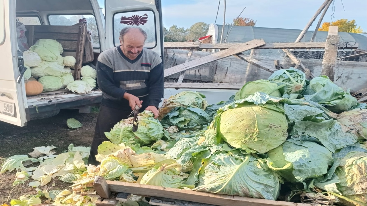 Kastamonu Sera Tarla Denetim (6)