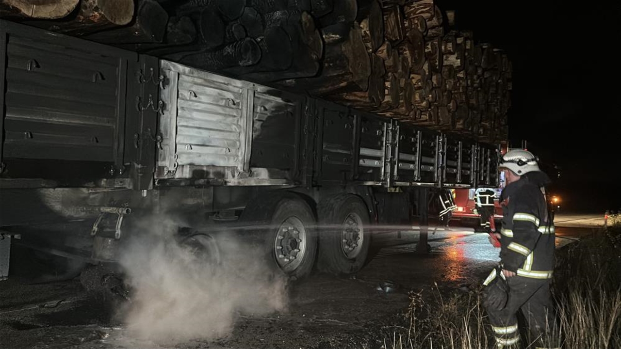 Kastamonu Tomruk Yüklü Kamyon (3)