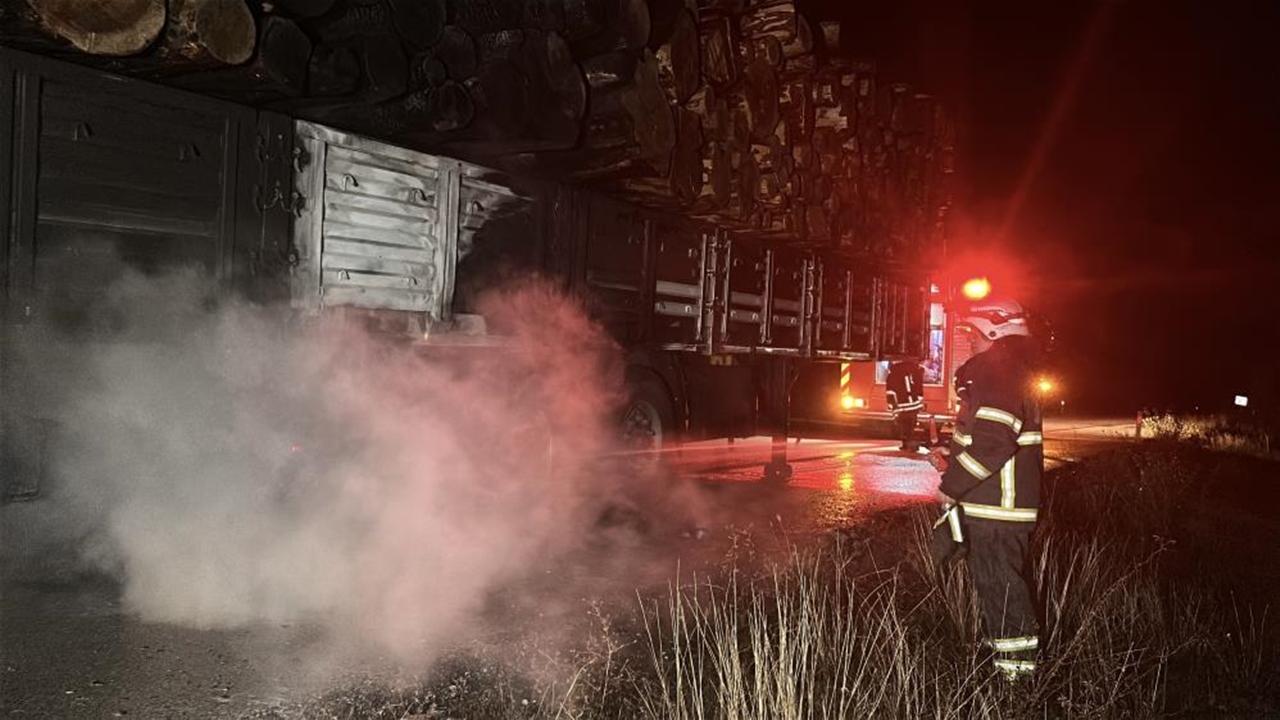 Kastamonu Tomruk Yüklü Kamyon (4)