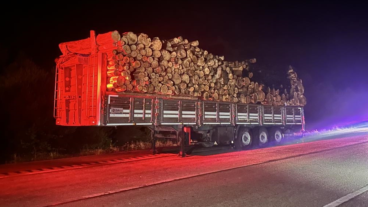 Kastamonu Tomruk Yüklü Kamyon (5)