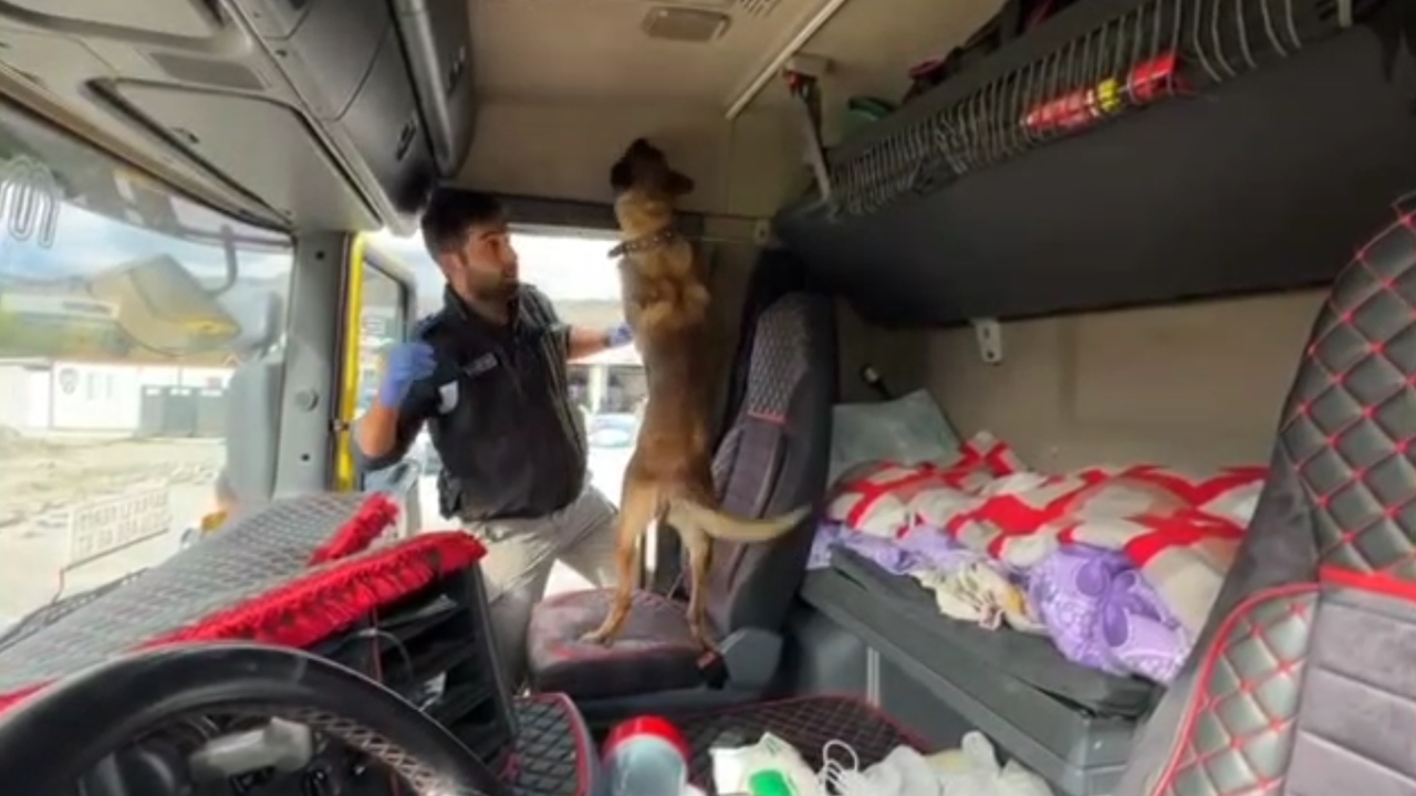 Kastamonu Uyuşturucu Operasyonu (3)
