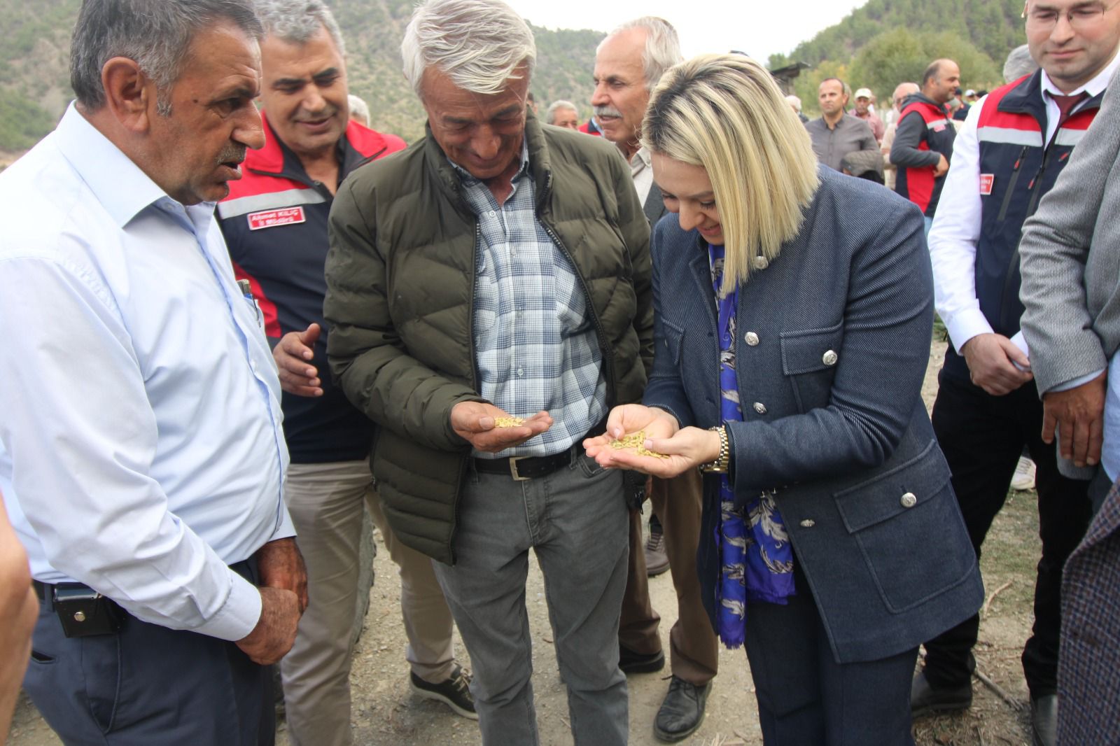 Kastamonu'da 220 Dekar Alanda Çeltik Hasadı Yapıldı 22