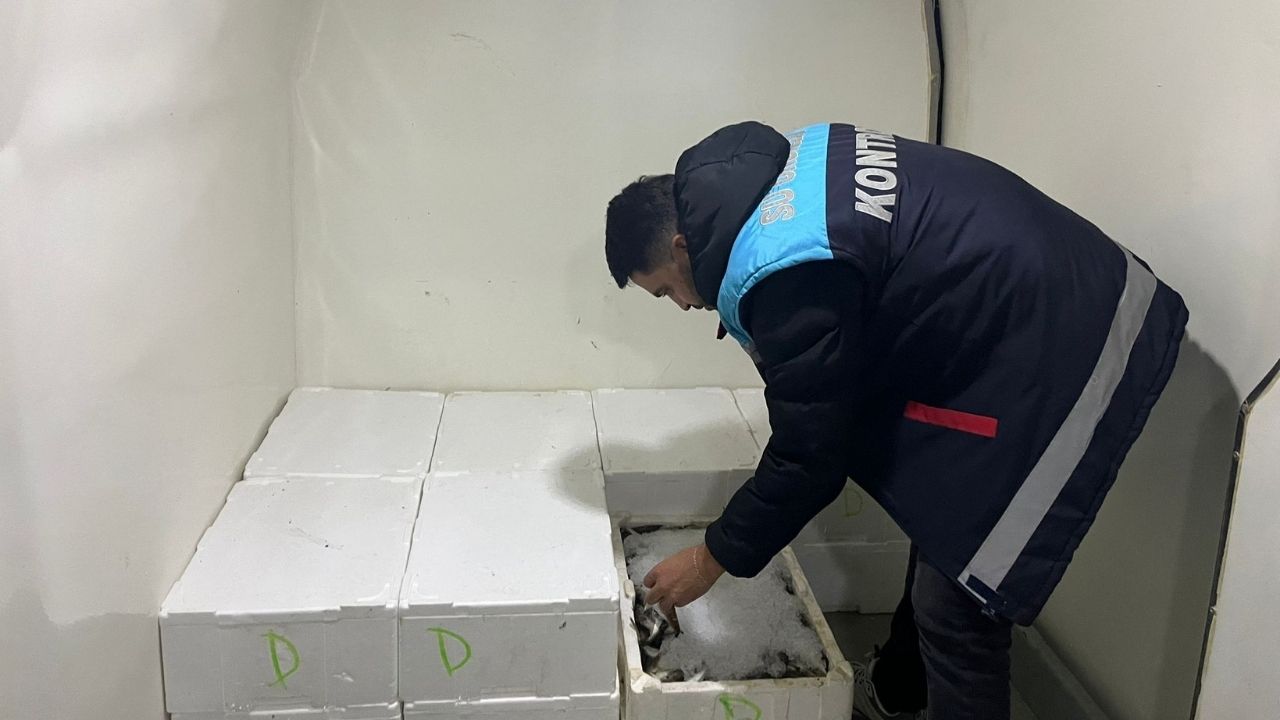 Kastamonu’da 555 Kilo Balık Karaya Çıkarıldı (2)