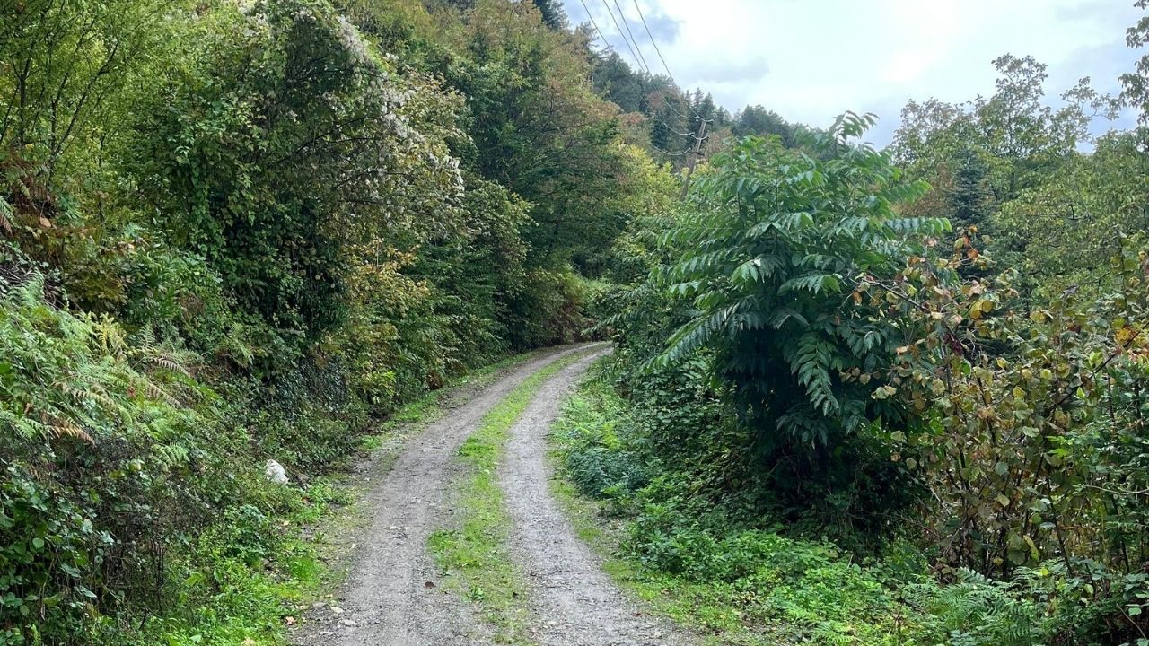 Kastamonu’da Altyapı Seferberliği Doğalgaz İçin Yol Kapatıldı (4)