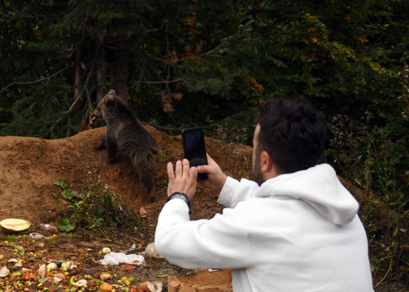 Kastamonu'da Annesiz Kalan Iki Yavru, Yol Kenarını Mesken Edindi 1