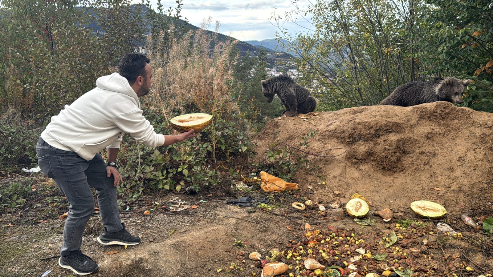 Kastamonu'da Annesiz Kalan Iki Yavru, Yol Kenarını Mesken Edindi 6