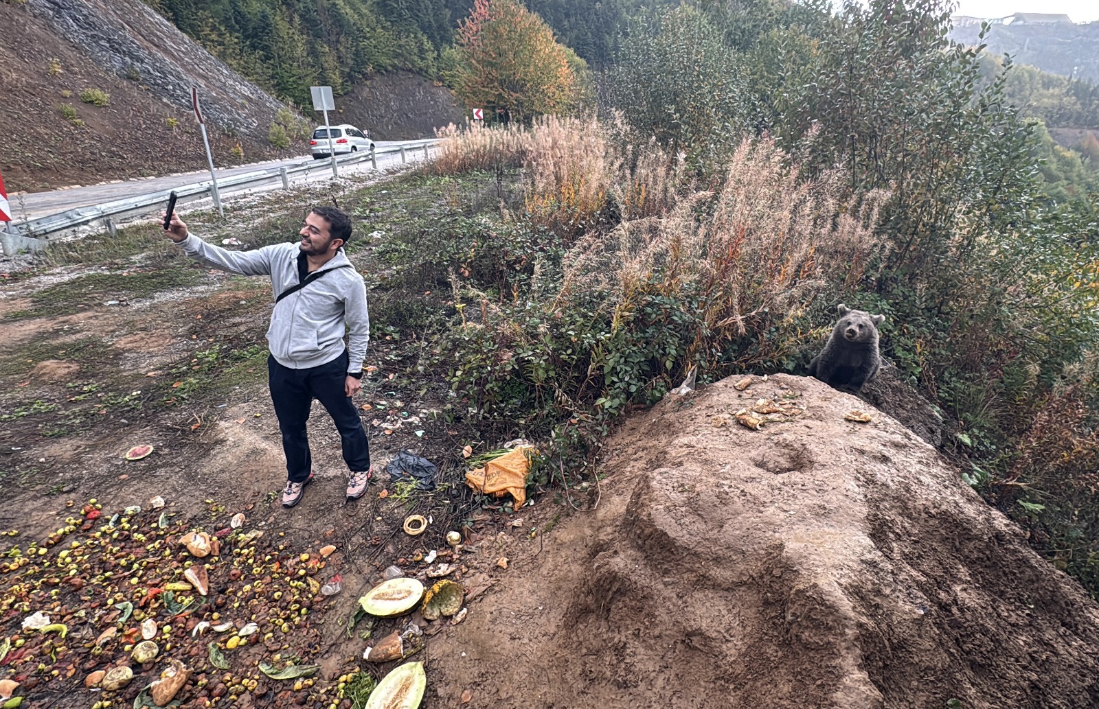 Kastamonu'da Annesiz Kalan Iki Yavru, Yol Kenarını Mesken Edindi 7