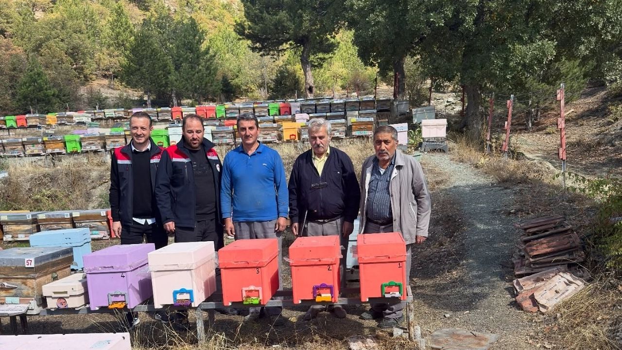 Kastamonu’da Arıcılık Çalışmaları Sürüyor Kovanlar Denetlendi (2)