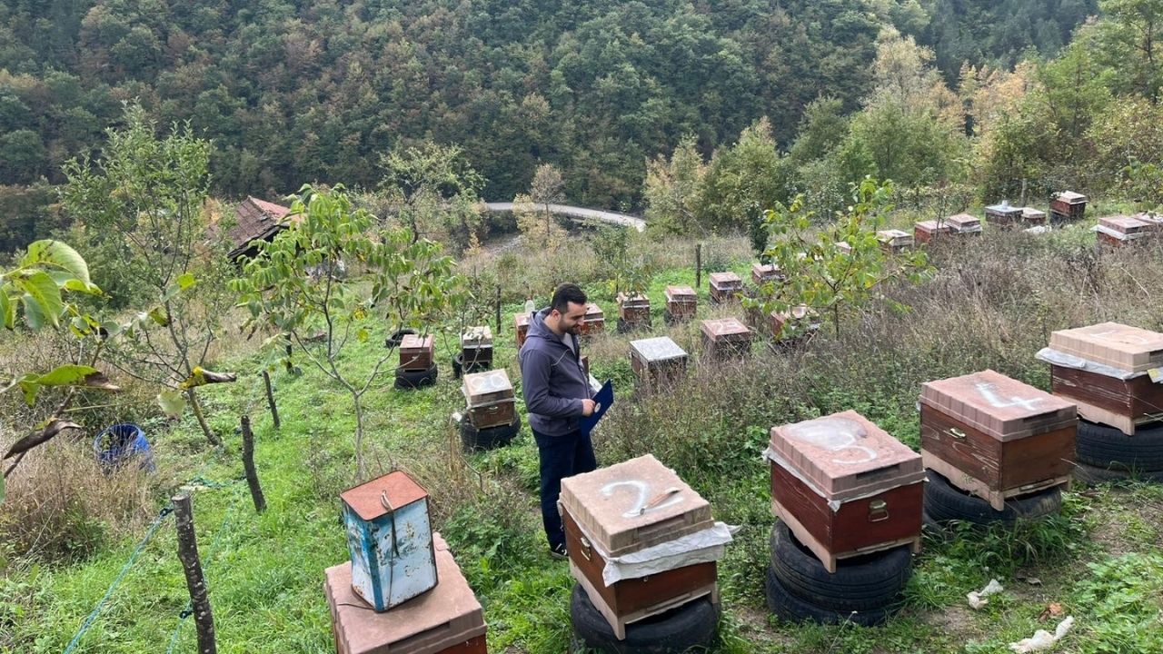 Kastamonu’da Arılı Kovanlar Tek Tek Kayda Alınıyor (1)