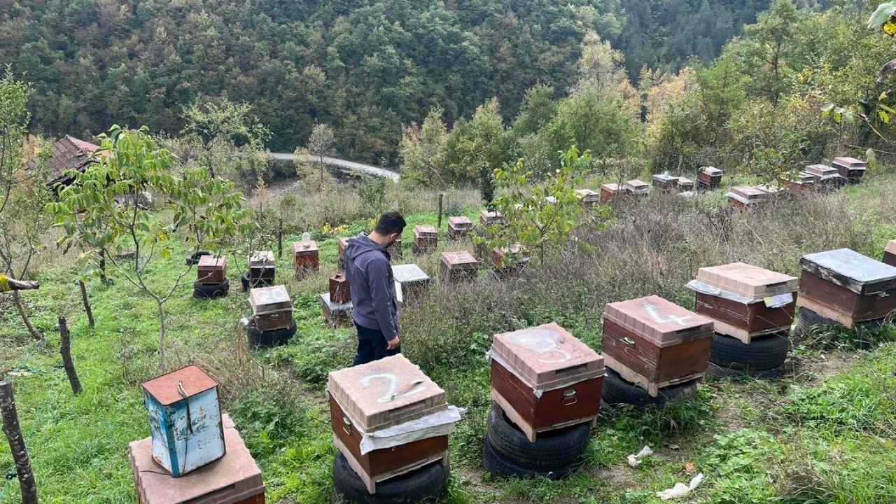 Kastamonu’da Arılı Kovanlar Tek Tek Kayda Alınıyor (2)