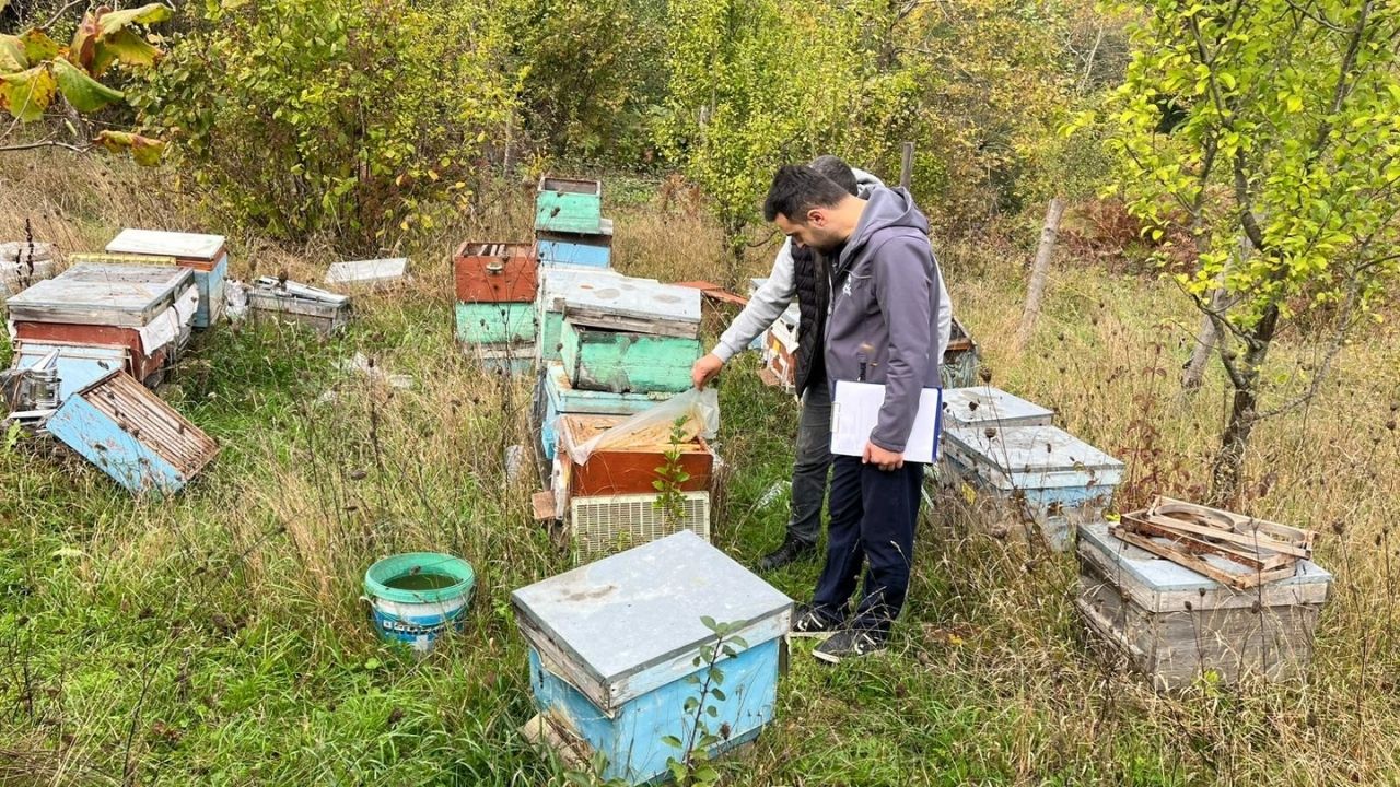 Kastamonu’da Arılı Kovanlar Tek Tek Kayda Alınıyor (3)