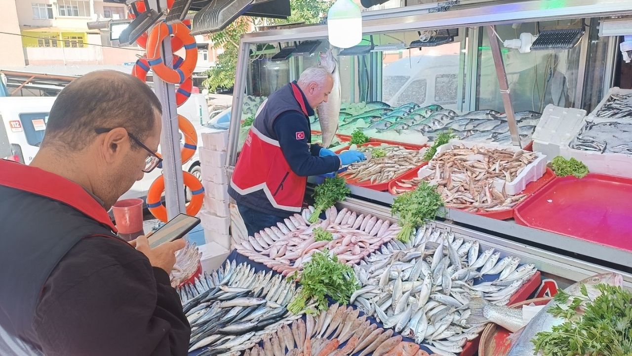 Kastamonu’da Balık Satış Noktaları Kontrol Altında (1)
