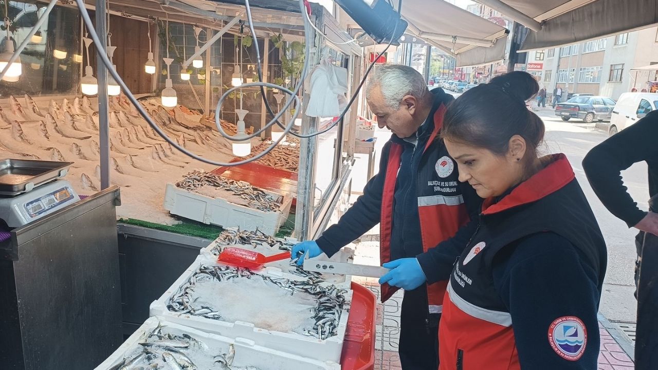 Kastamonu’da Balık Satış Noktaları Kontrol Altında (4)
