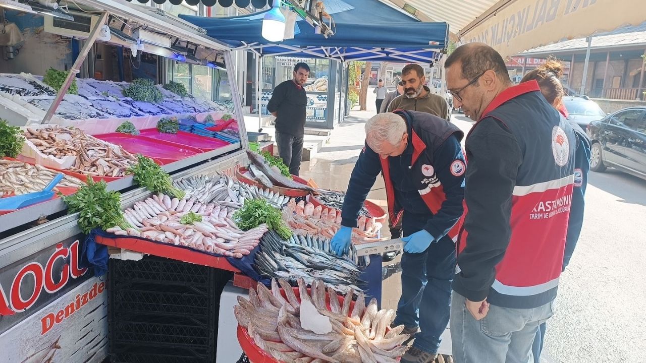 Kastamonu’da Balık Satış Noktaları Kontrol Altında (5)