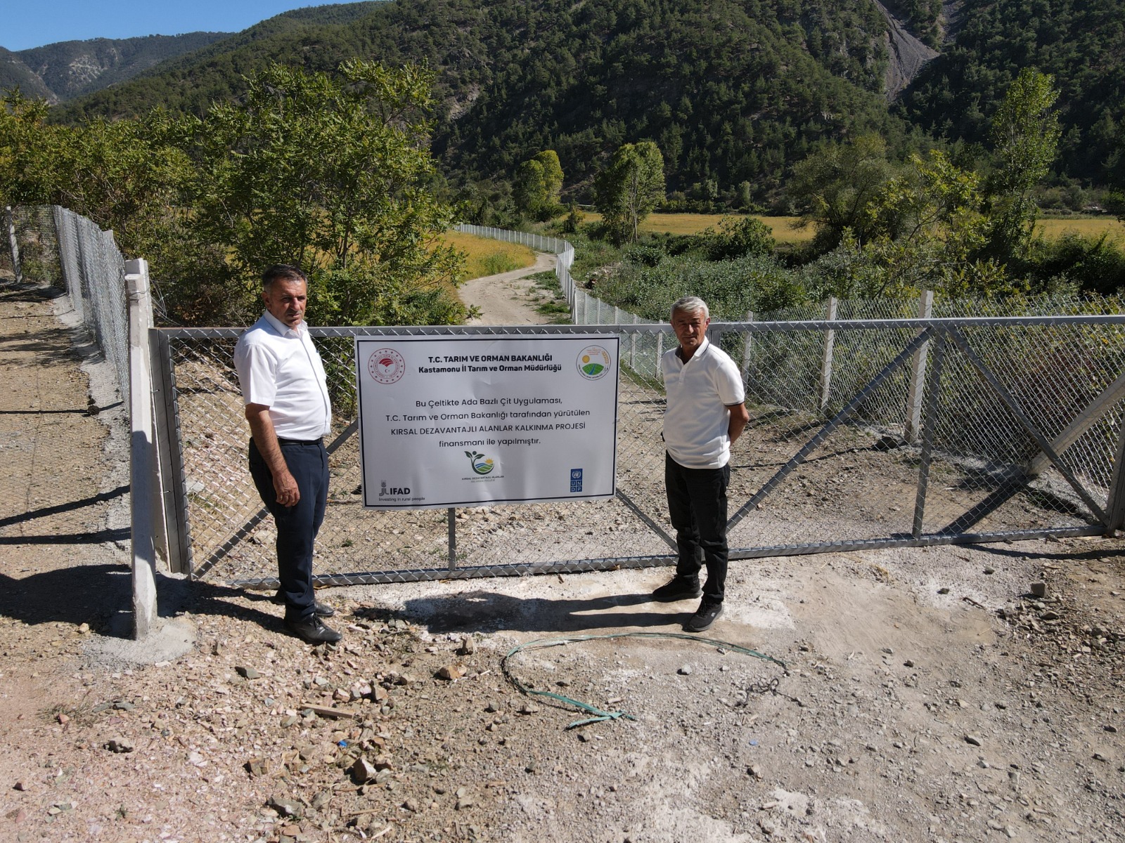 Kastamonu'da Domuzlar Talan Etmişti Verimli Hale Getirildi 3