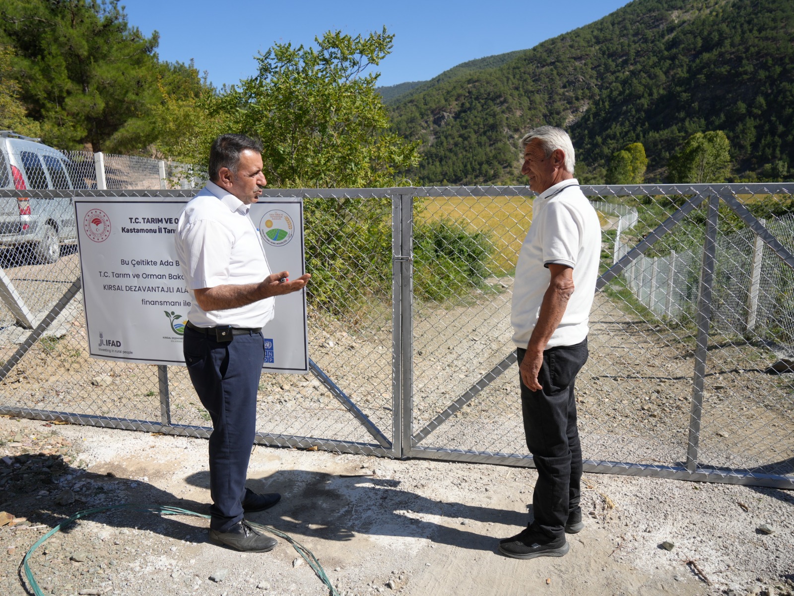 Kastamonu'da Domuzlar Talan Etmişti Verimli Hale Getirildi