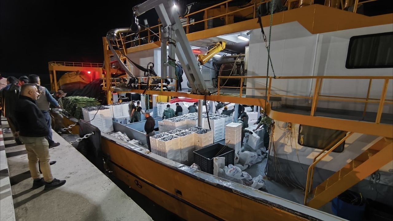 Kastamonu’da Hamsi Avcılığı Denetimleri 724 Sürüyor (1)