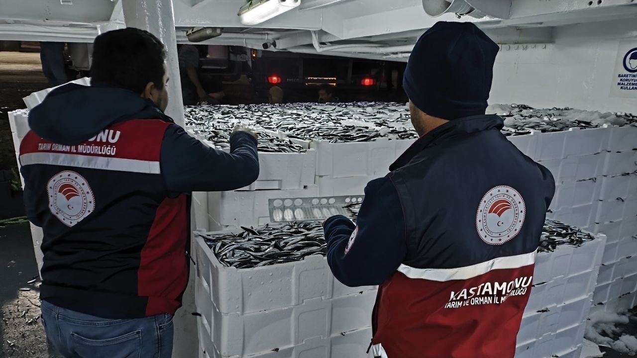Kastamonu’da Hamsi Avcılığı Denetimleri 724 Sürüyor (2)