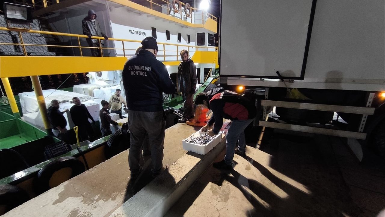 Kastamonu’da Hamsi Avcılığı Denetimleri 724 Sürüyor (3)