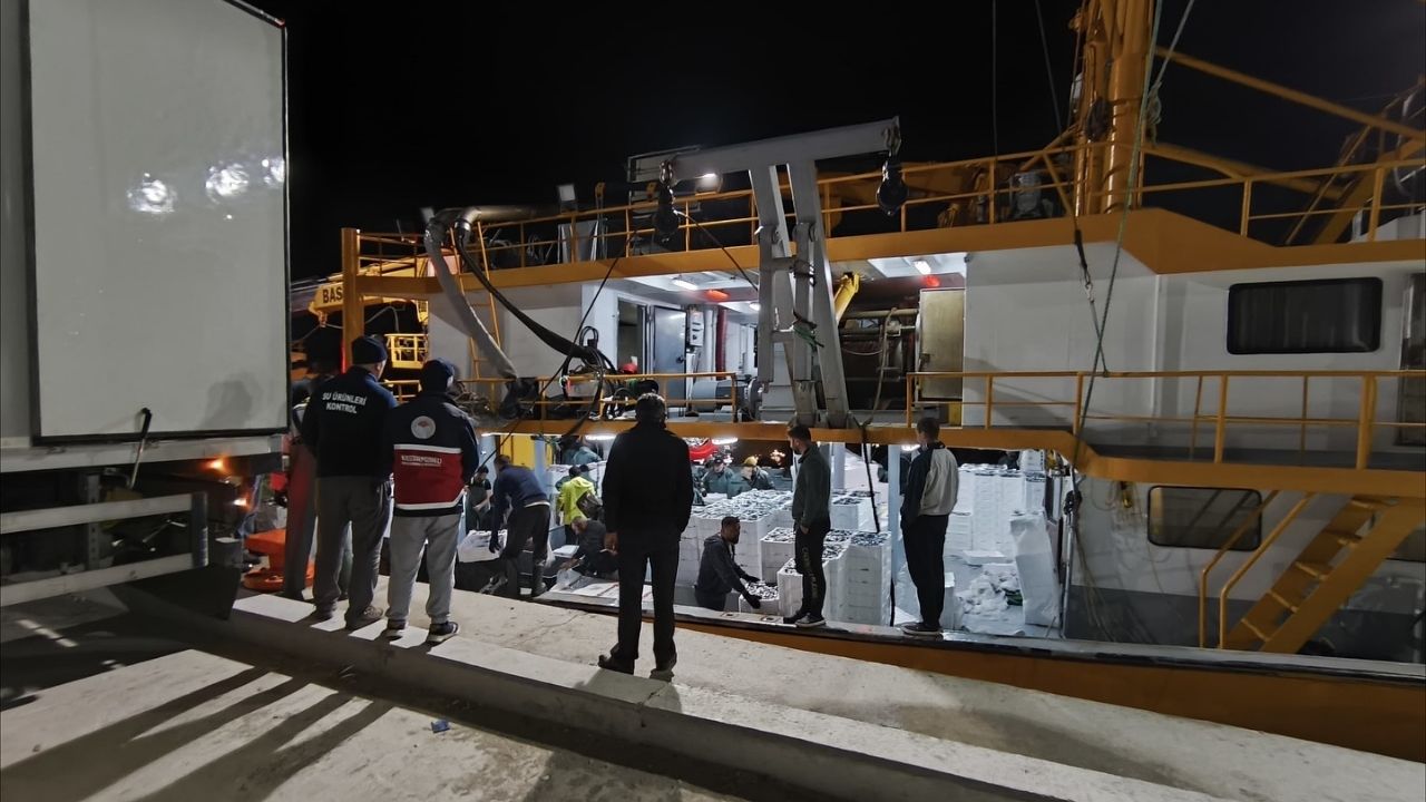 Kastamonu’da Hamsi Avcılığı Denetimleri 724 Sürüyor (4)
